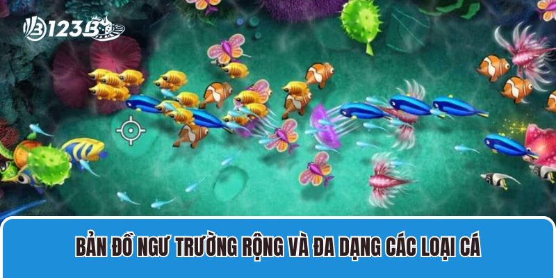 Bản đồ ngư trường rộng và đa dạng các loại cá