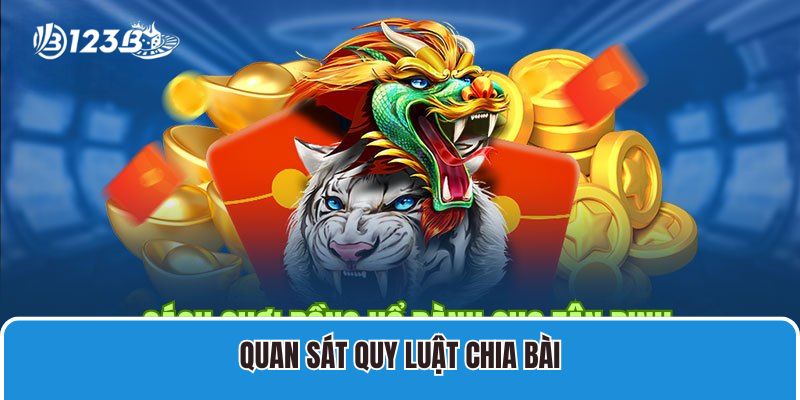 Quan sát quy luật chia bài
