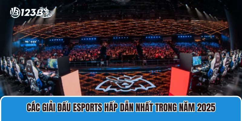 Các giải đấu Esports hấp dẫn nhất trong năm 2025