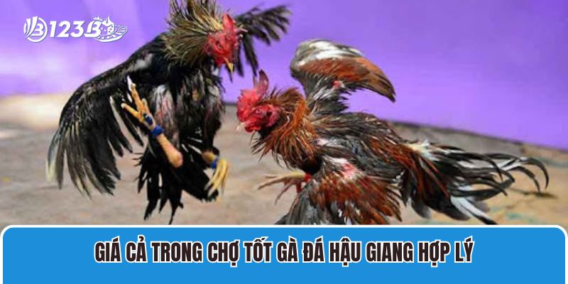 Giá cả trong chợ tốt gà đá Hậu Giang hợp lý