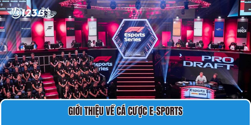 Giới thiệu về cá cược E-sports