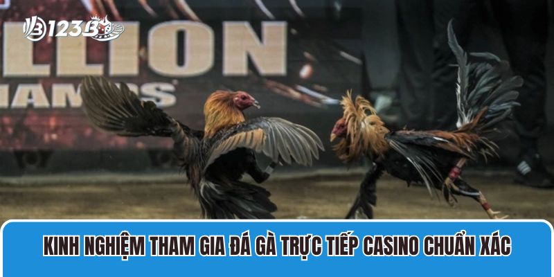 Kinh nghiệm tham gia đá gà trực tiếp casino chuẩn xác
