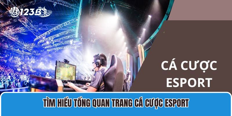 Tìm hiểu tổng quan trang cá cược Esport