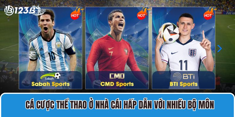 Cá cược thể thao ở nhà cái hấp dẫn với nhiều bộ môn và đa dạng kèo cược
