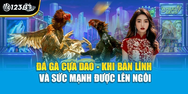 Đá Gà Cựa Dao - Khi Bản Lĩnh Và Sức Mạnh Được Lên Ngôi