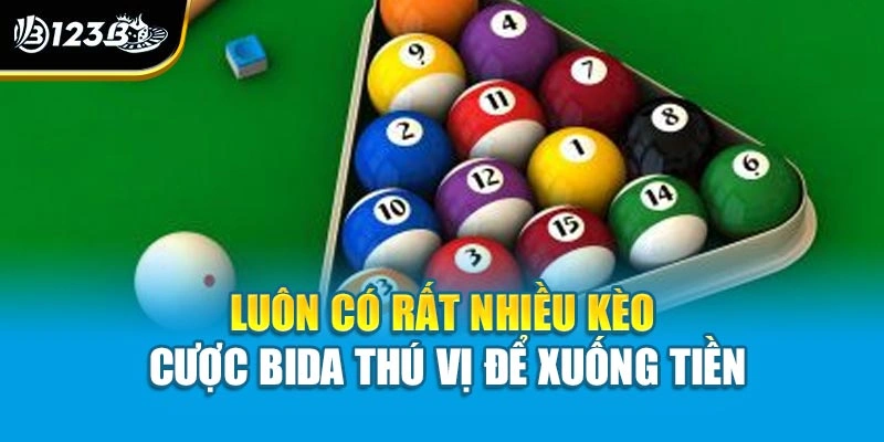 Cá Cược Bida | Trải Nghiệm Hay Cho Bạn Yêu Thể Thao Trí Tuệ 3 Luôn có rất nhiều kèo cược bida thú vị để xuống tiền