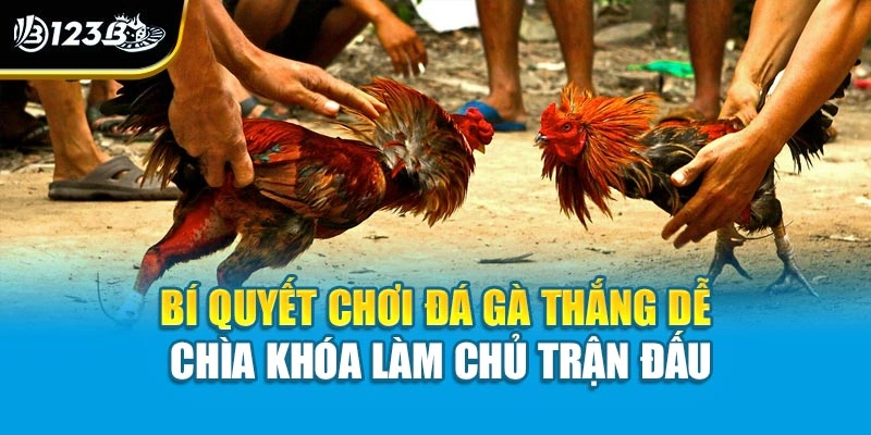 Bí Quyết Chơi Đá Gà Thắng Dễ - Chìa Khóa Làm Chủ Trận Đấu