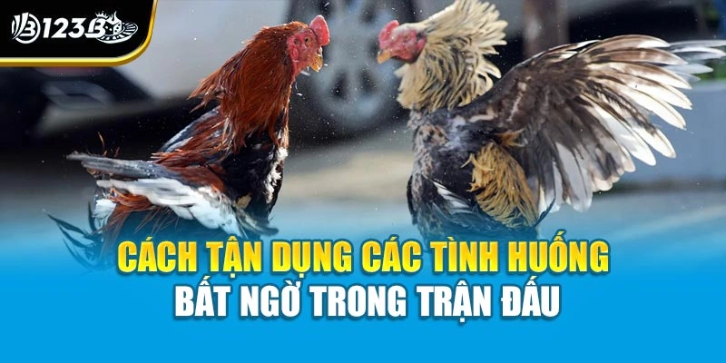 Cách tận dụng các tình huống bất ngờ trong trận đấu