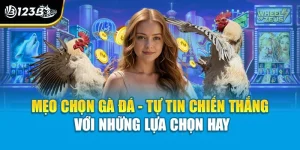 Mẹo Chọn Gà Đá - Tự Tin Chiến Thắng Với Những Lựa Chọn Hay