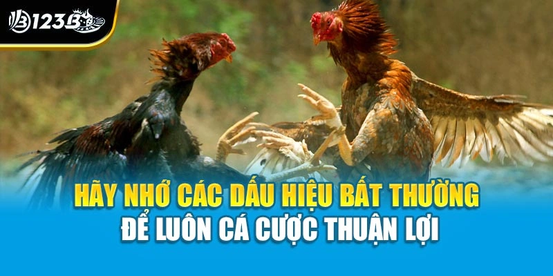 Hãy nhớ các dấu hiệu bất thường để luôn cá cược thuận lợi