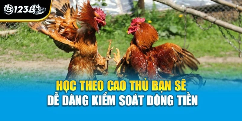 Học theo cao thủ bạn sẽ dễ dàng kiểm soát dòng tiền