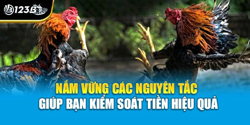 Nắm vững các nguyên tắc giúp bạn kiểm soát tiền hiệu quả