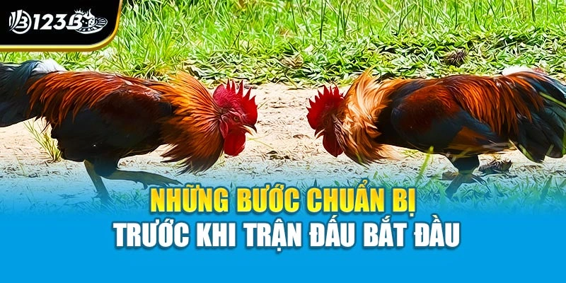 Những bước chuẩn bị trước khi trận đấu bắt đầu