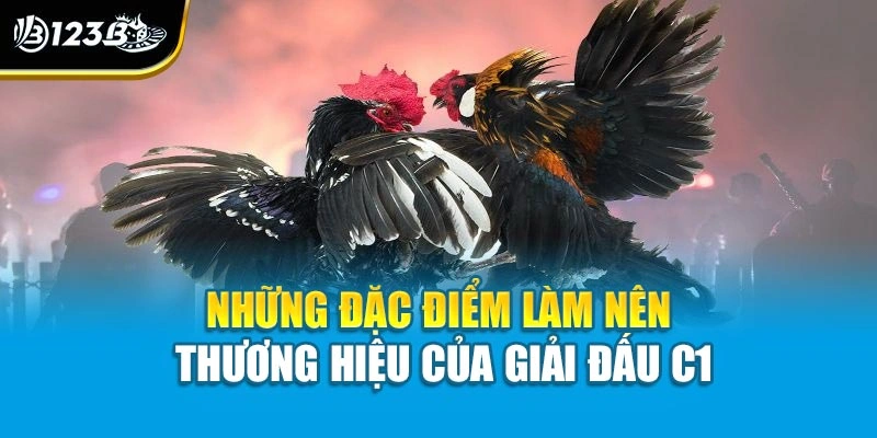 Những đặc điểm làm nên thương hiệu của giải đấu C1
