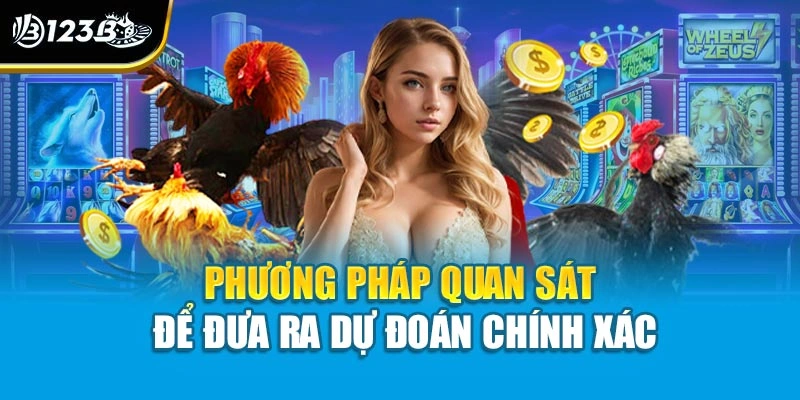 Đá Gà Trực Tuyến - Trải Nghiệm Không Khí Trường Gà Tại Nhà 4 Phương pháp quan sát để đưa ra dự đoán chính xác