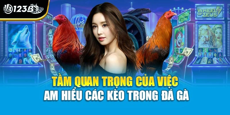 Tầm quan trọng của việc am hiểu các kèo trong đá gà
