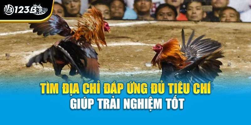 Tìm địa chỉ đáp ứng đủ tiêu chí giúp trải nghiệm tốt