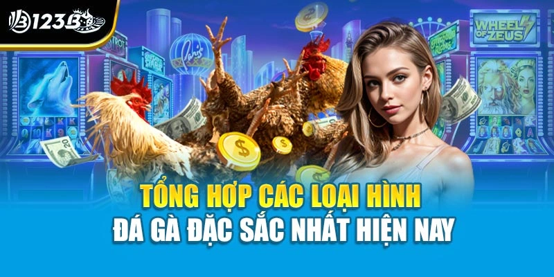 Đá Gà Trực Tuyến - Trải Nghiệm Không Khí Trường Gà Tại Nhà 3 Tổng hợp các loại hình đá gà đặc sắc nhất hiện nay