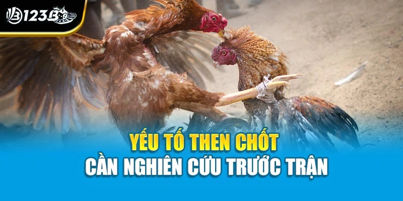 Yếu tố then chốt cần nghiên cứu trước trận